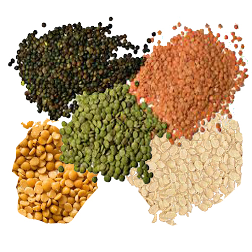 Lentils(Dal)